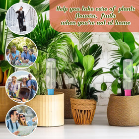 Silifine pink spike helps busy homes hydrate plants effortlessly