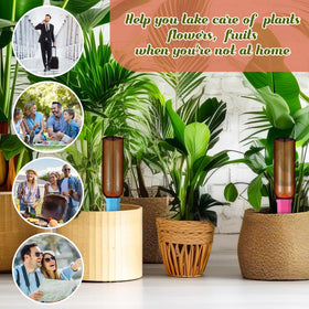Complete six-spike and six-bottle SiliFine set supports travel-friendly watering.