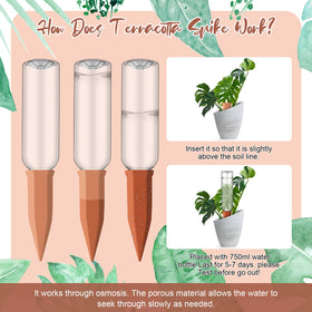 SiliFine self watering system helps travel friendly plant care