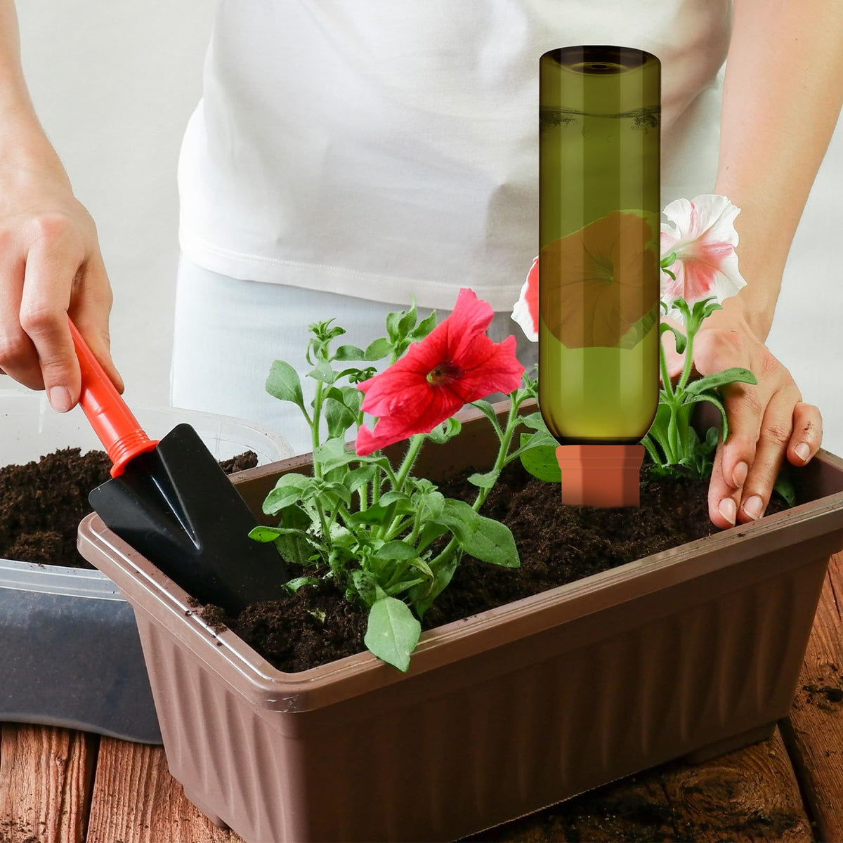 SiliFine six-spike set paired with bottles for multiple plants