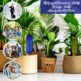 SiliFine self-watering system used for indoor herbs