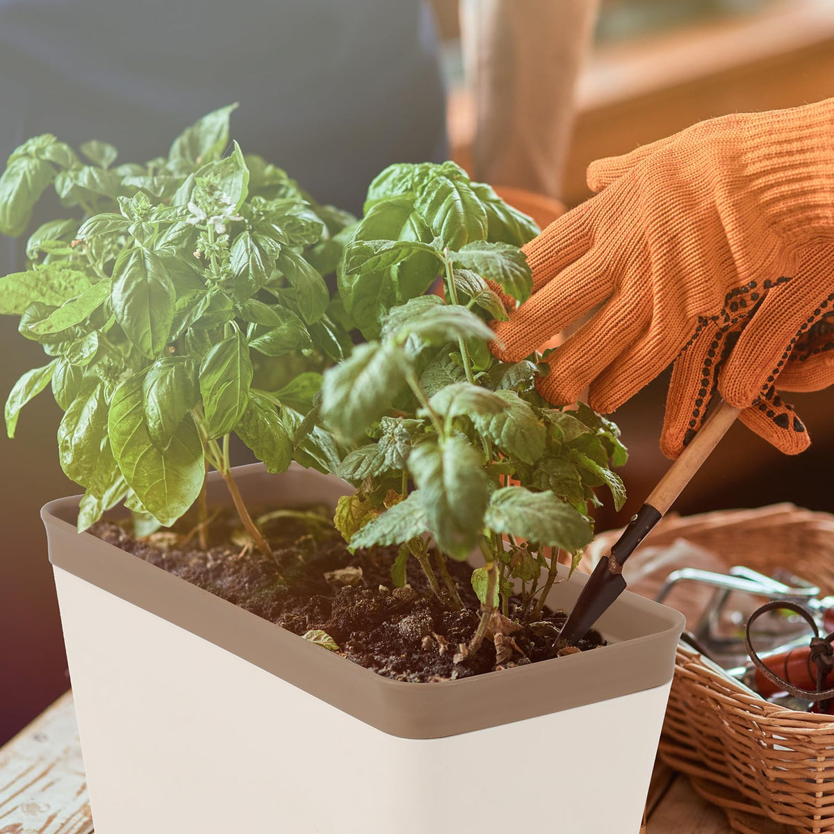 SiliFine sturdy scratch-resistant PP planter blends with decor.