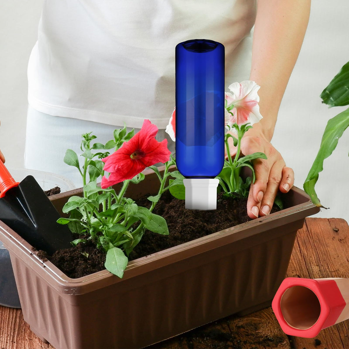 SiliFine six-pack of self-watering spikes supports diverse plant care.
