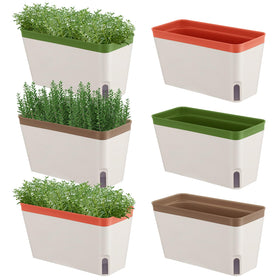 SiliFine window herb planter box 6-pack supports indoor herb growing.