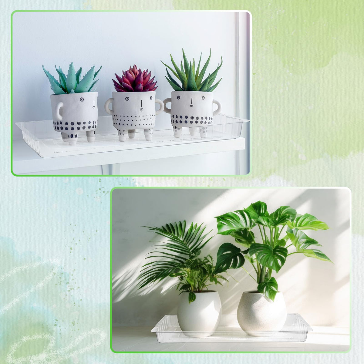 SiliFine window-sill tray keeps spills off surfaces during watering.
