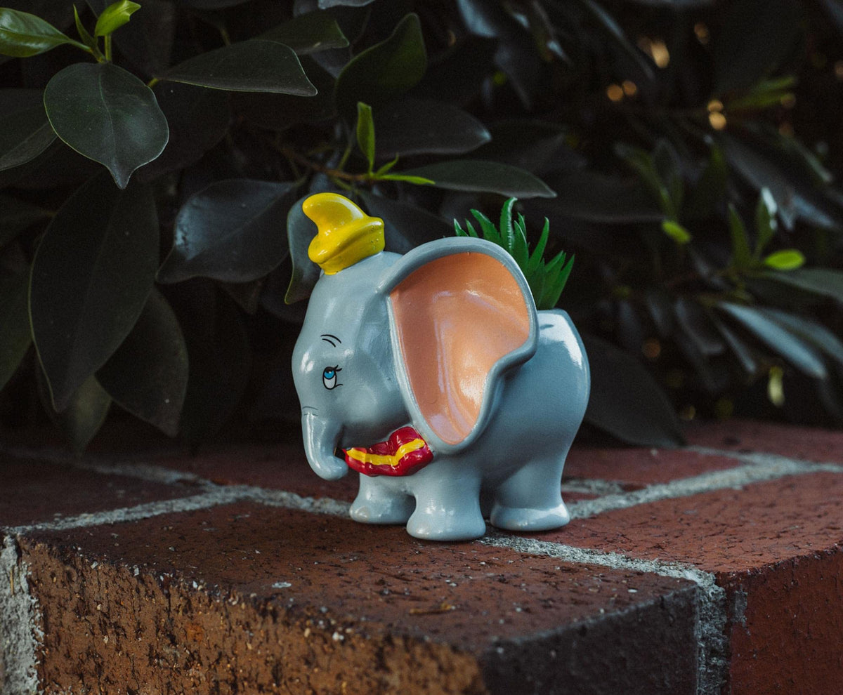 Silver Buffalo Dumbo planter as a charming centerpiece accent.