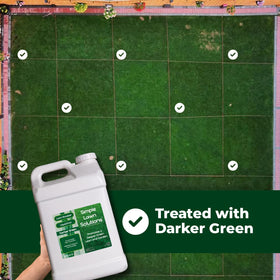Lush lawn showing color boost from Darker Green Liquid Iron.