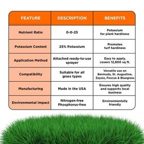 Simple Lawn Solutions summer and fall use scenario on a lush lawn