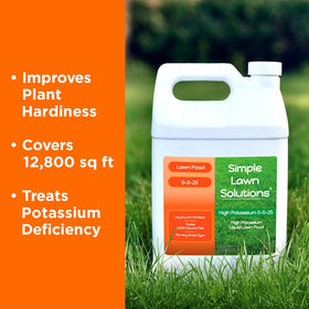 Simple Lawn Solutions turf-hardiness focus highlighting stress resistance benefits
