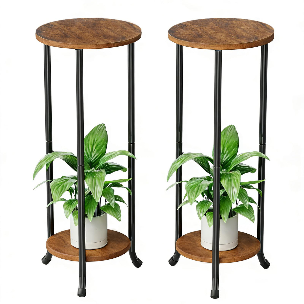 Simple Trending plant stand two-piece assembly displaying indoor plants in style
