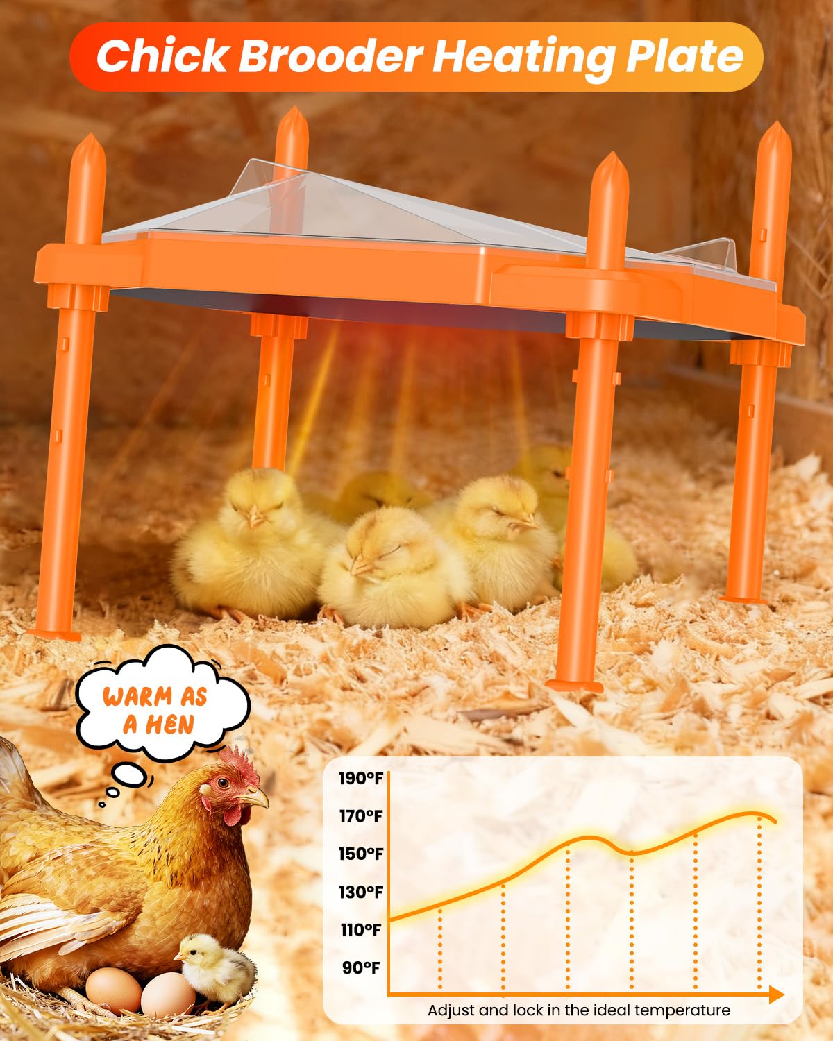 Sindarhor anti-roost cone on the brooder plate keeps droppings away.