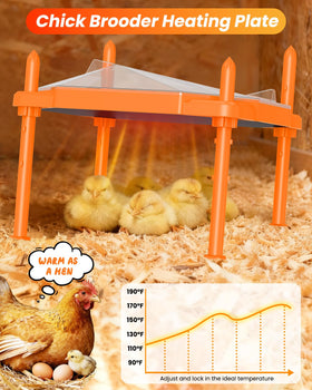 Sindarhor anti-roost cone on the brooder plate keeps droppings away.