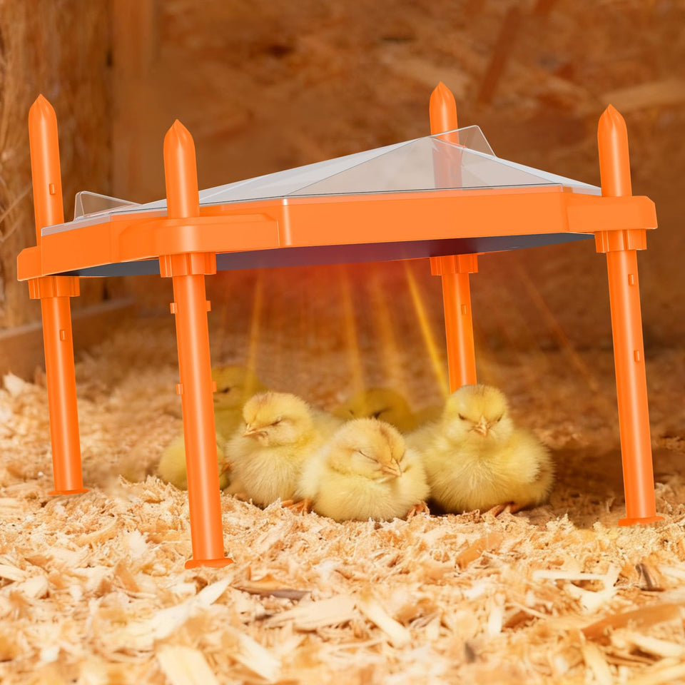 Sindarhor chick brooder heating plate in orange provides gentle warmth for chicks.