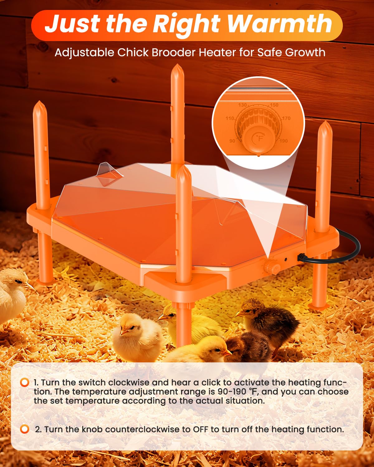 Sindarhor chick brooder plate shows adjustable temperature and height for growing birds.
