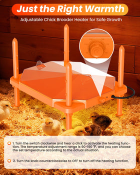 Sindarhor chick brooder plate shows adjustable temperature and height for growing birds.