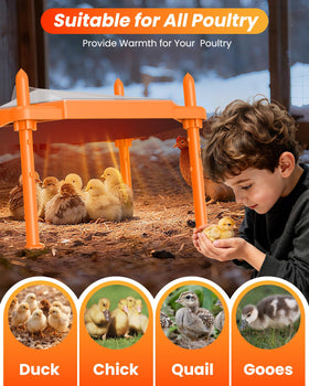 Sindarhor compact 14x11 inch plate fits in small coops for 18–22 chicks.
