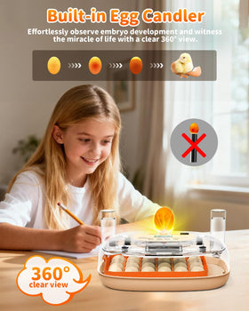 Sindarhor egg incubator auto-turner in action reduces manual turning