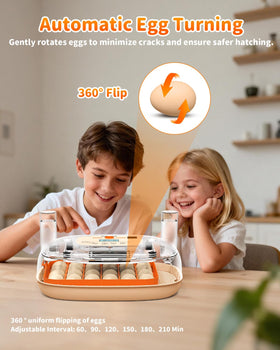 Sindarhor egg incubator digital controls display temperature and humidity