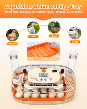 Sindarhor egg incubator easy-clean durable housing