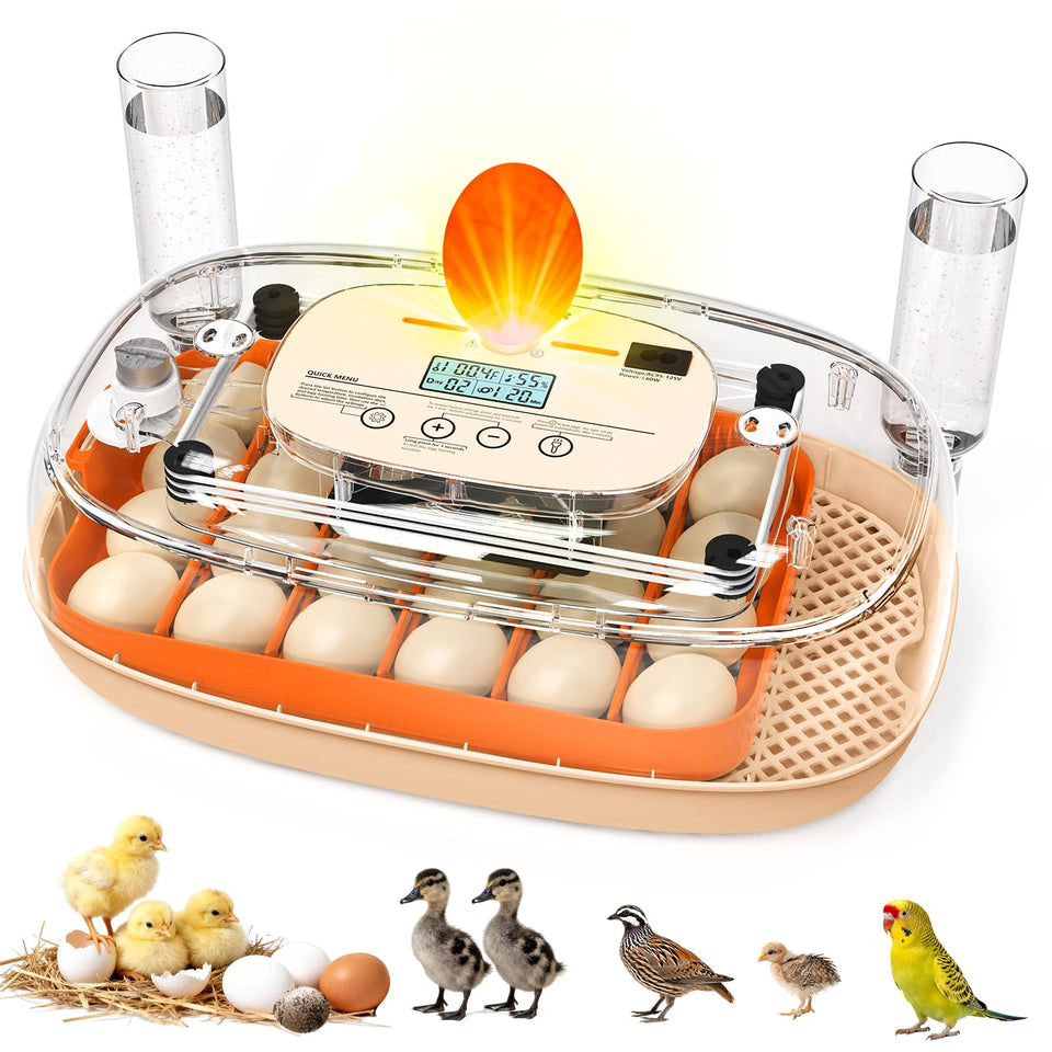 Sindarhor egg incubator front view for compact home hatching
