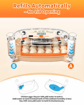 Sindarhor egg incubator universal tray for multiple egg sizes