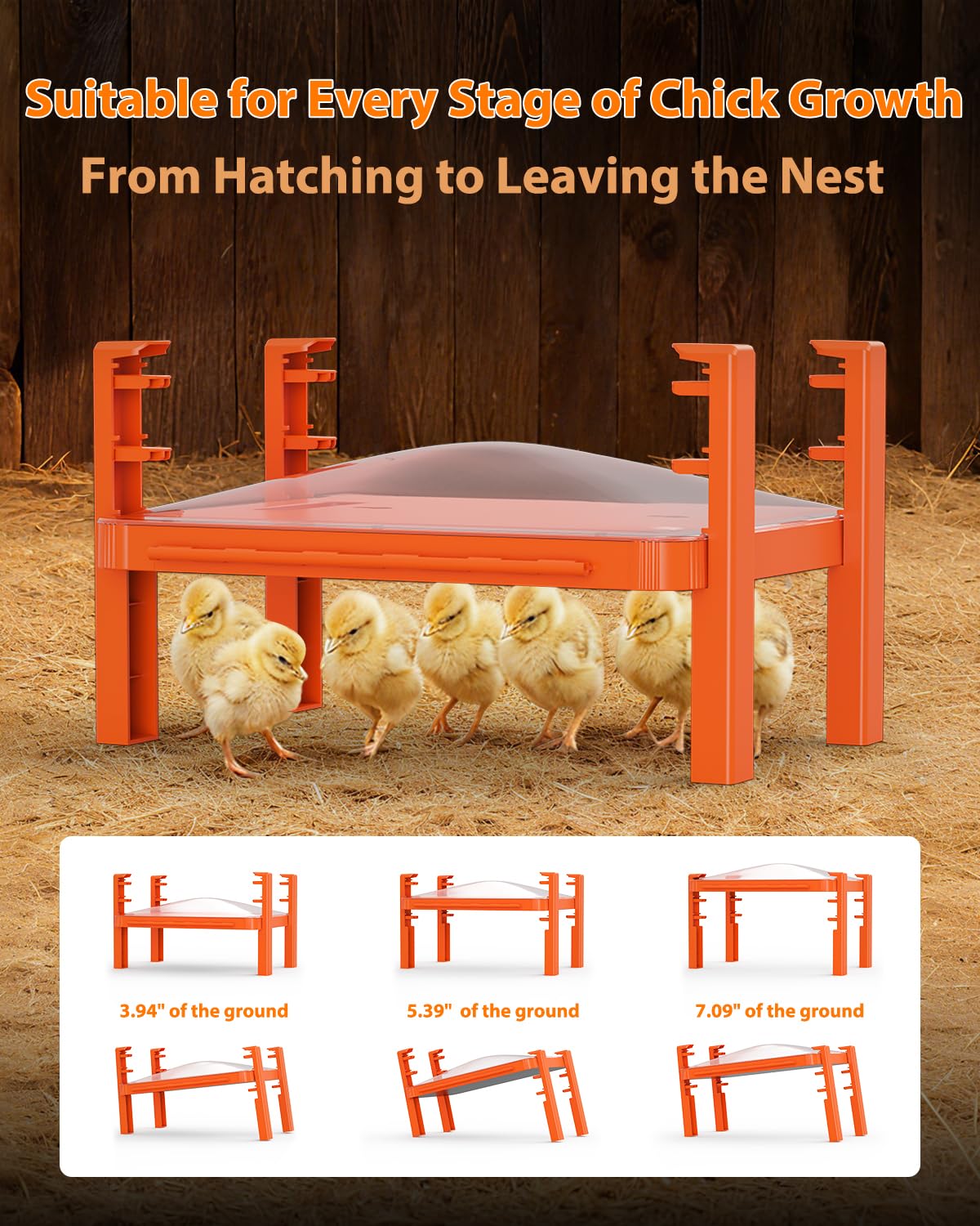 Sindarhor three installation modes support flat placement, wall-mount, or freestanding setup.