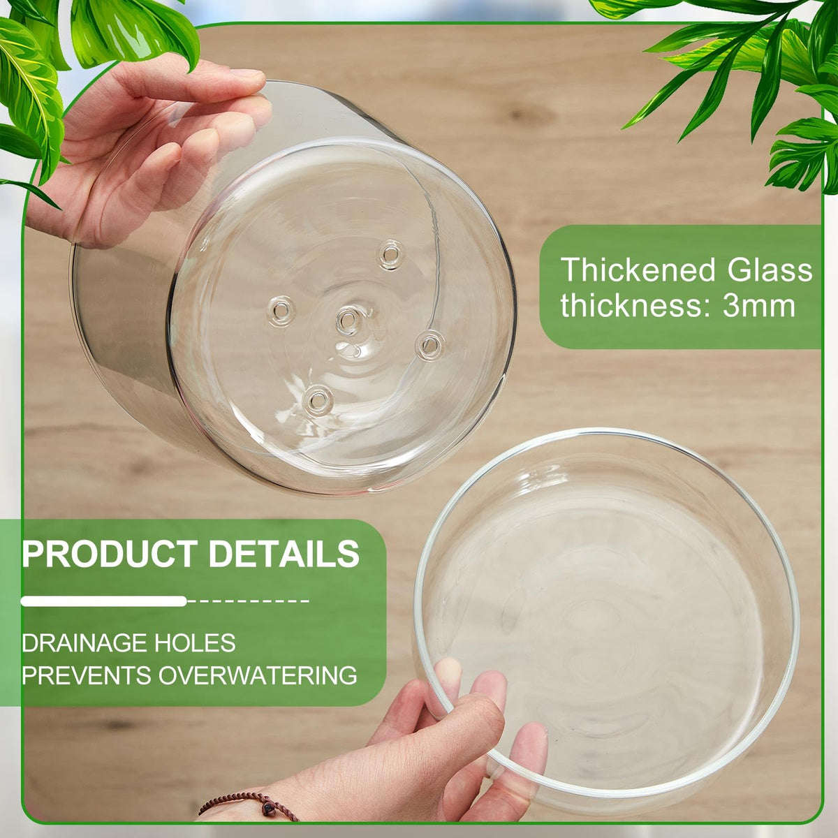 Singhoow glass plant pot for office spaces with modern style