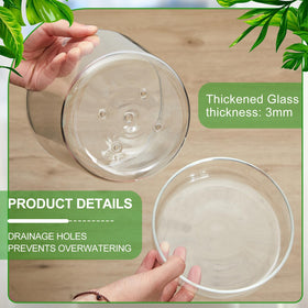 Singhoow glass plant pot for office spaces with modern style