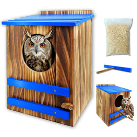 Sinuamanore Screech Owl House with blue roof in a garden setting.