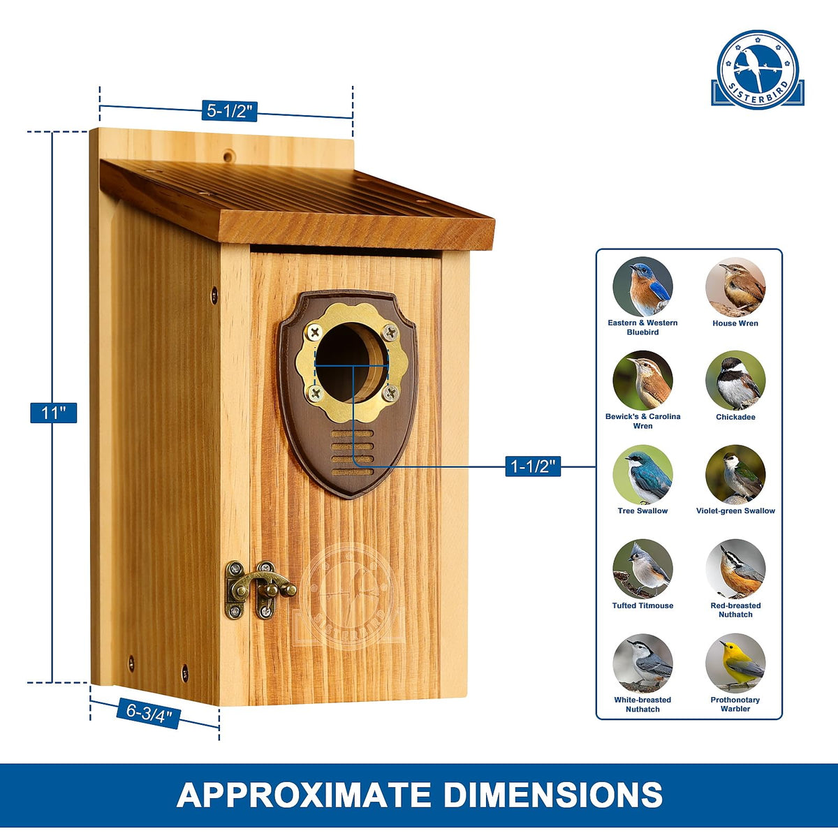SISTERBIRD bluebird house courtyard decoration: charming garden focal point and shelter.