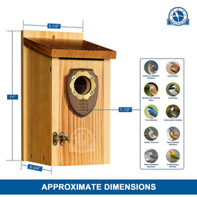 SISTERBIRD bluebird house courtyard decoration: charming garden focal point and shelter.