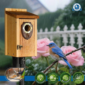 SISTERBIRD bluebird house front door latch: simple cleaning and reuse.