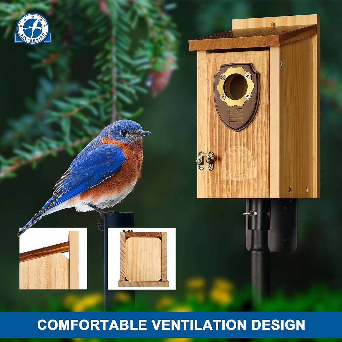 SISTERBIRD bluebird house premium wood: solid weather resistant construction.