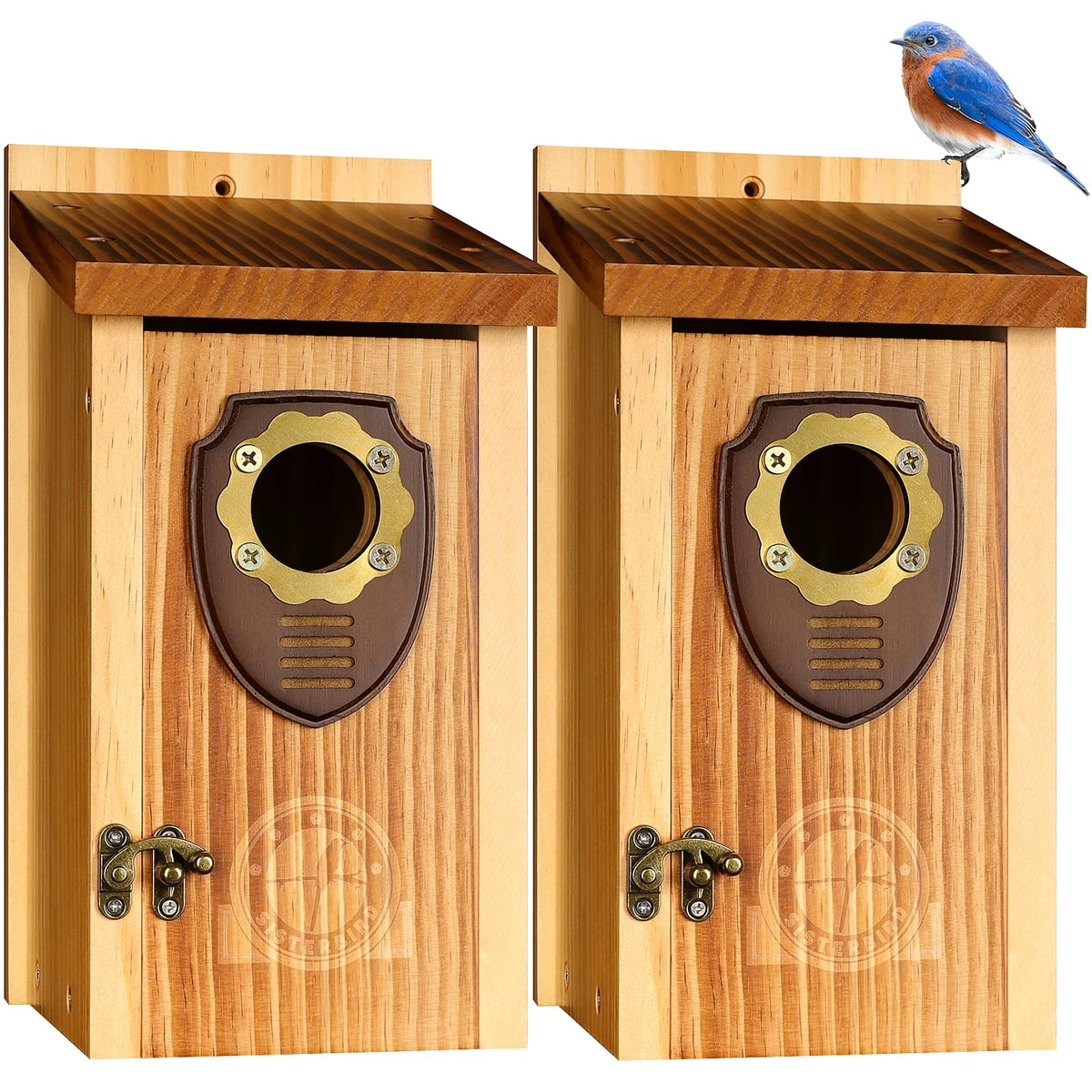 SISTERBIRD pack bluebird houses outdoor: durable habitat for songbirds.