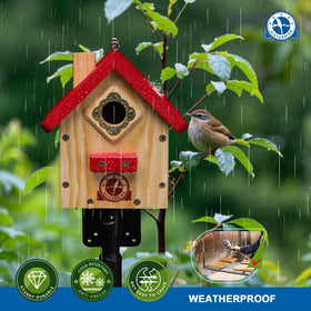 SISTERBIRD Wren Bird House built-in ladder supports young birds reaching food.