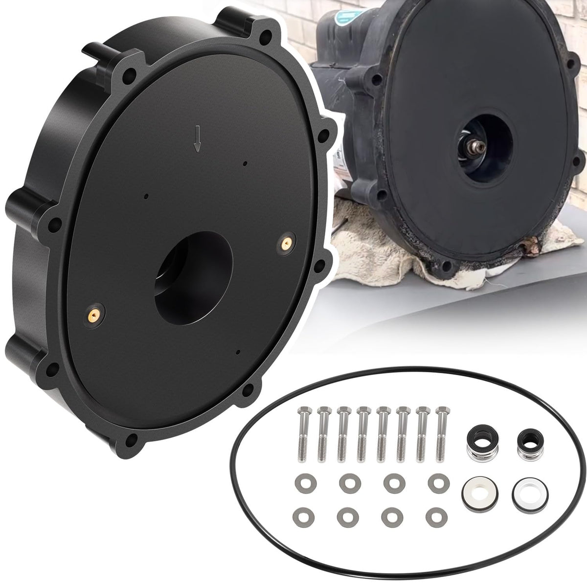 Sixcow R0445200 backplate kit contents for Zodiac pumps enable quick repair.