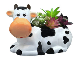 Sixdrop cow planter pot ceramic with drain, ideal for herbs in a sunny kitchen window.