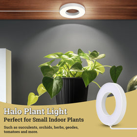 SIYOMG LED grow light with 10 dimming levels for adjustable brightness.