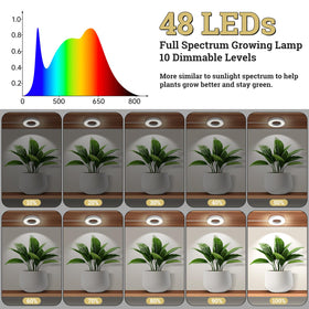 SIYOMG halo light offers cool natural warm modes for adaptable plant care.