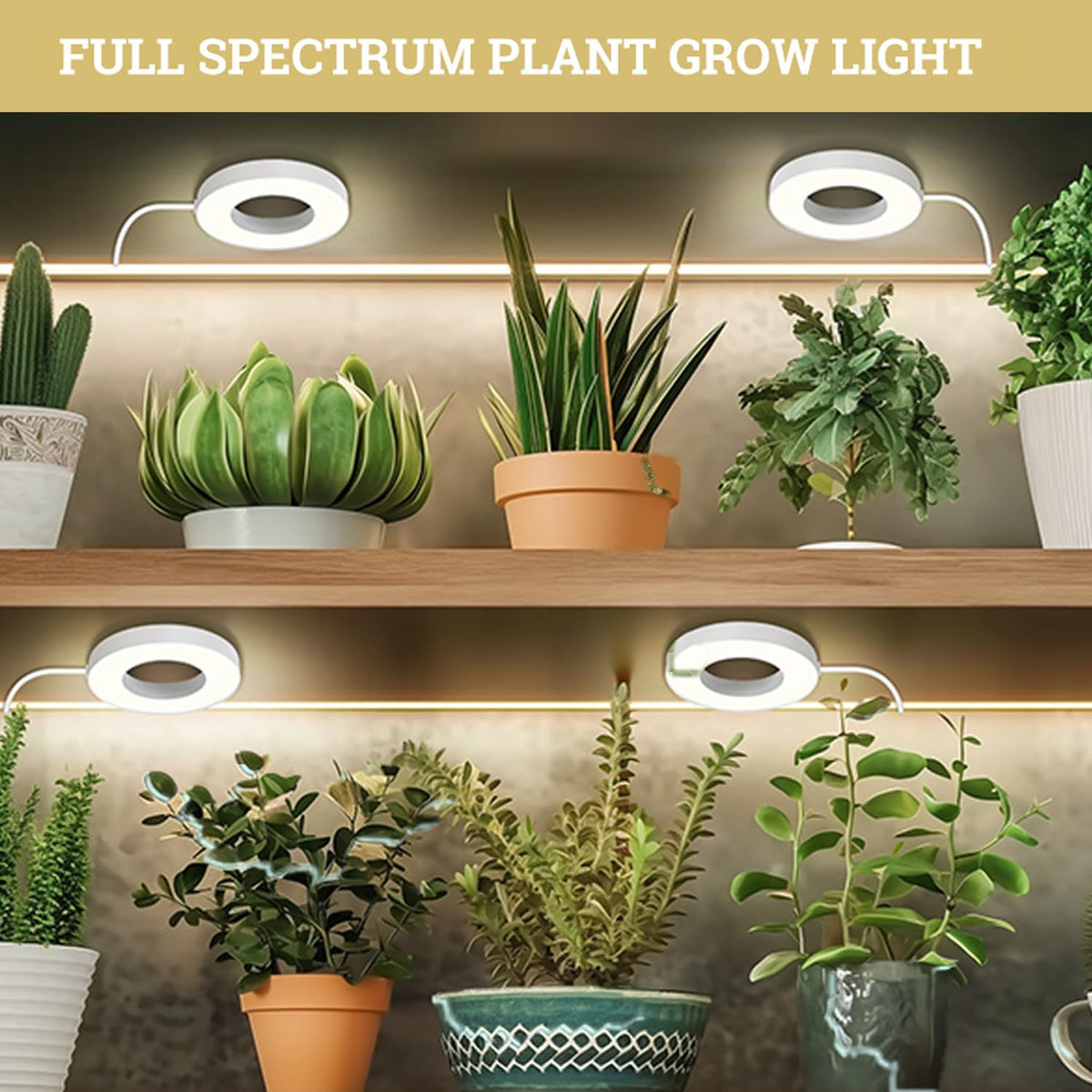 SIYOMG four-head light supports small plant growth in tight spaces.