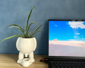 Sizavi funny penis planter—quirky decor to spark conversations in any room.