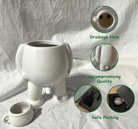 Sizavi gift-ready plant pot, ideal for birthdays or housewarmings.