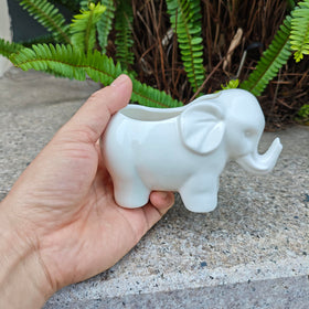 SJBAG Elephant planter ships without plants; gift-ready for plant lovers.