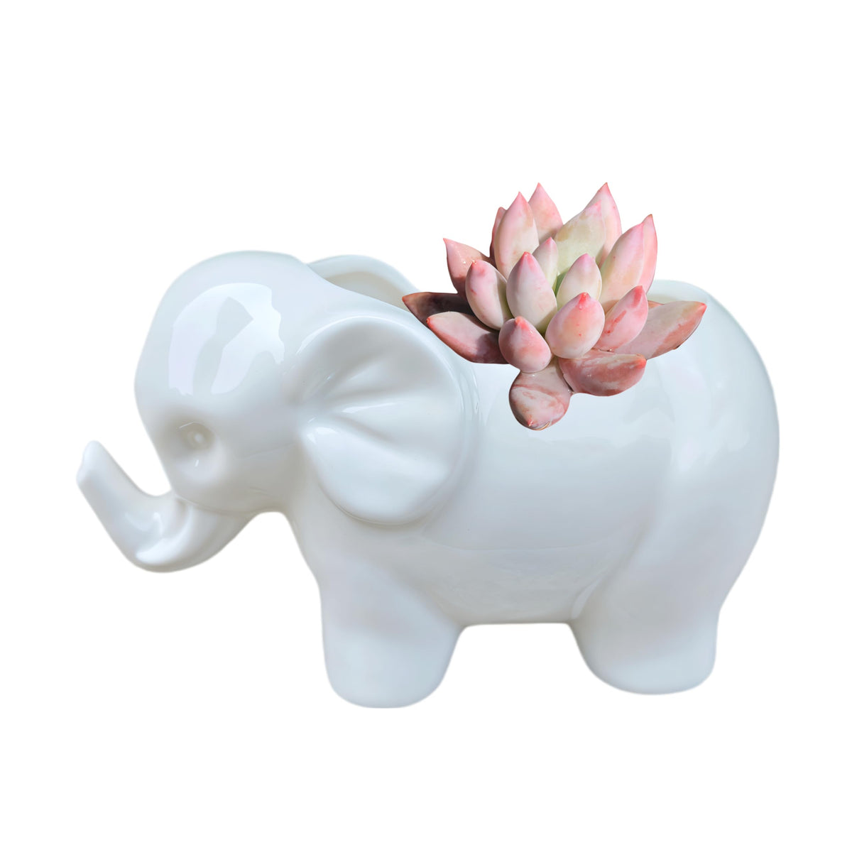 SJBAG Elephant ceramic planter features a cute animal motif.