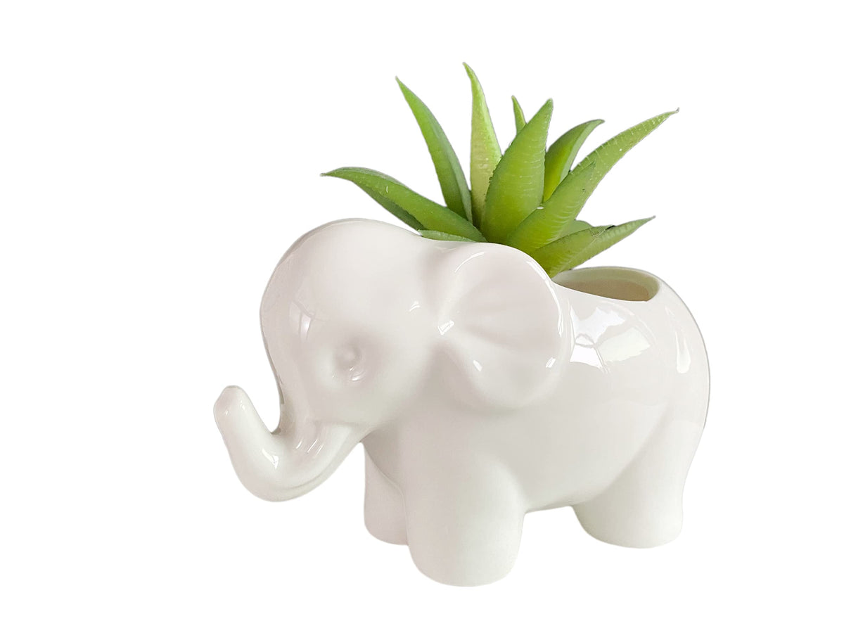 SJBAG Elephant planter shows a drainage hole for healthy watering.