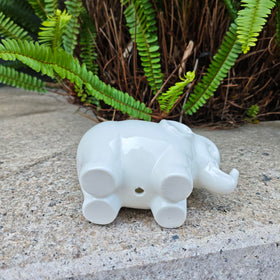 SJBAG Elephant planter complements living room plant displays.