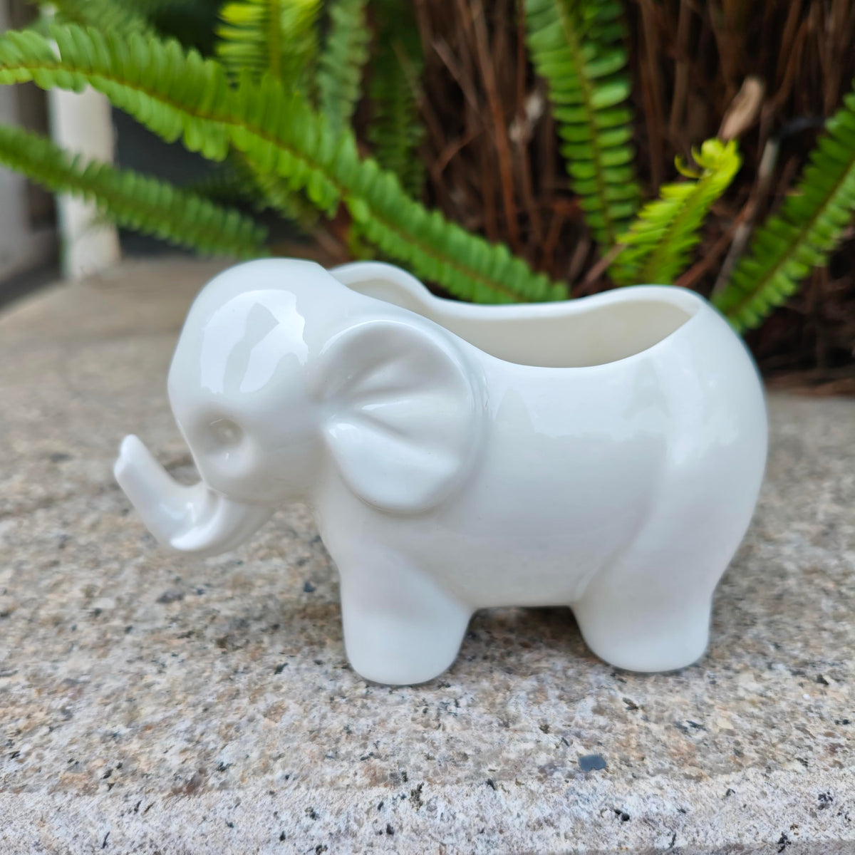 SJBAG Elephant planter perfect for office desk decor.
