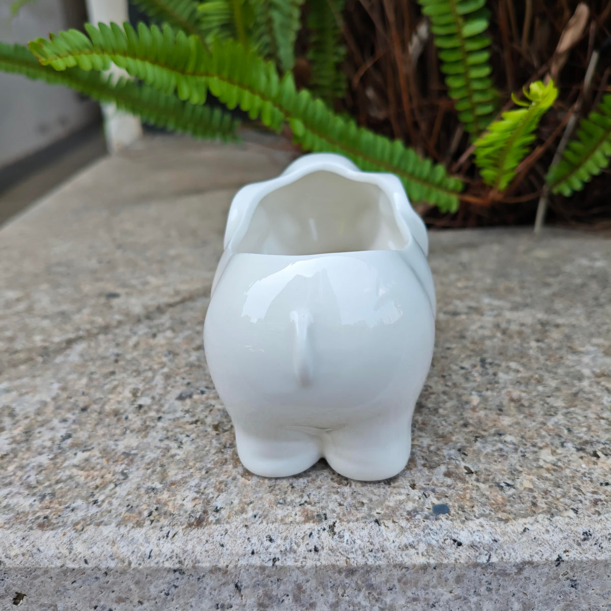 SJBAG Elephant planter measures 13 cm, fits small succulents.