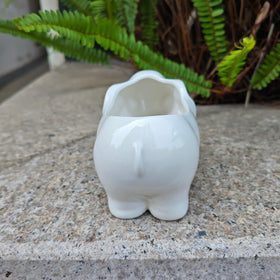 SJBAG Elephant planter measures 13 cm, fits small succulents.
