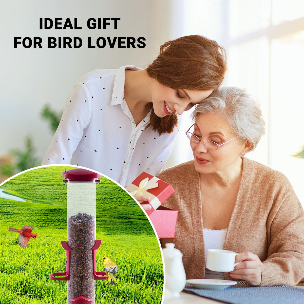 Skaithee red bird feeder invites year-round birdwatching from patios